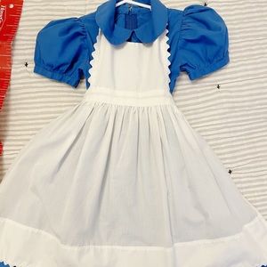 Handmade Alice in Wonderland dress